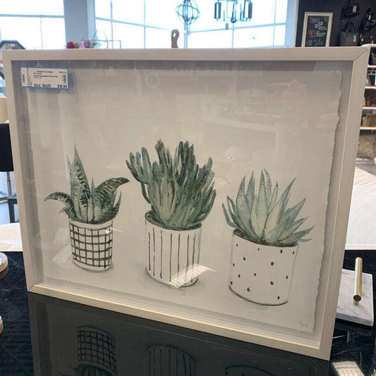 Framed Succulents in Pot Print