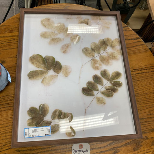 Textured Leaves On Glass