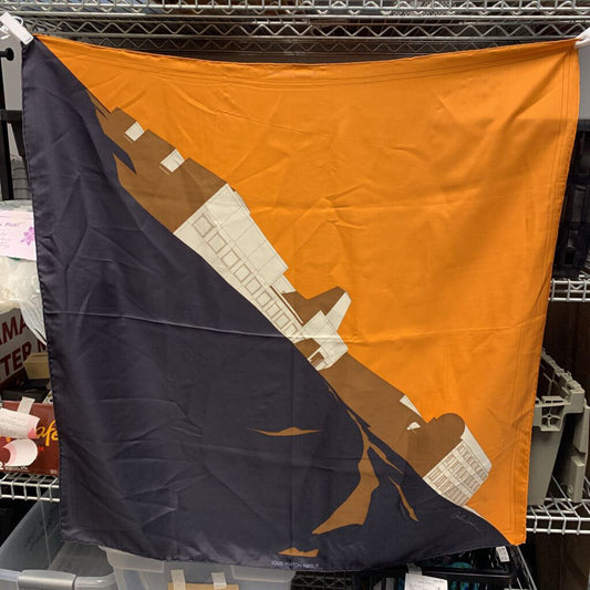 Louis Vuitton Silk Scarf