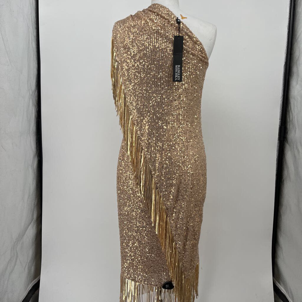 Badgley Mischka one shoulder Dress