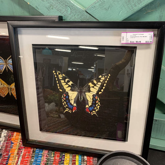 Framed Butterfly Print