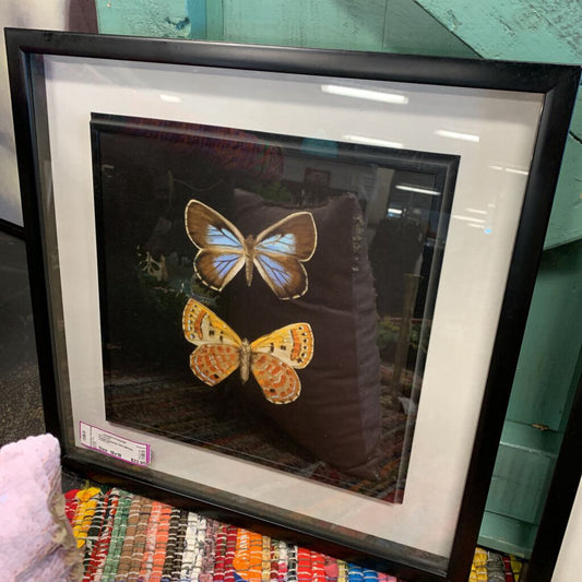 Framed Butterfly Print