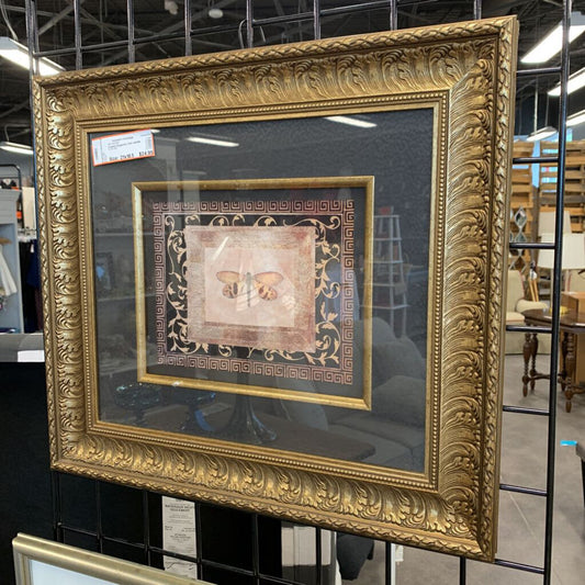 Framed Dragonfly Print
