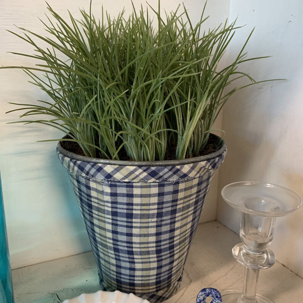 Greenery in Plaid Pot