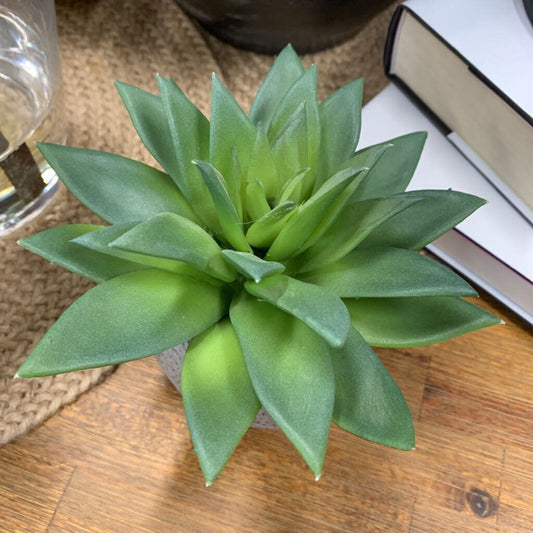 Faux Succulent in Pot