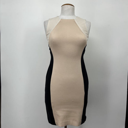 Ann Taylor Slvls Dress