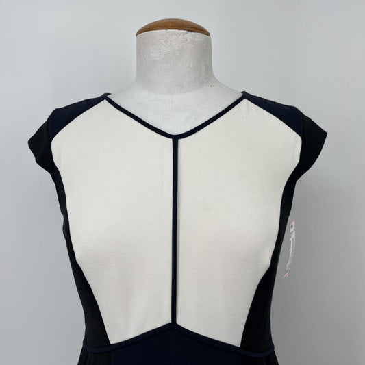 Ann Taylor s/s Dress