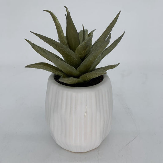 CB Faux Succulent in Pot