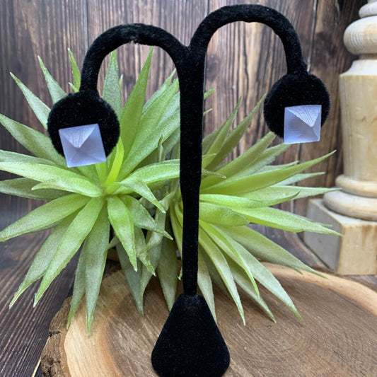 Alexis Bittar Lucite Earrings