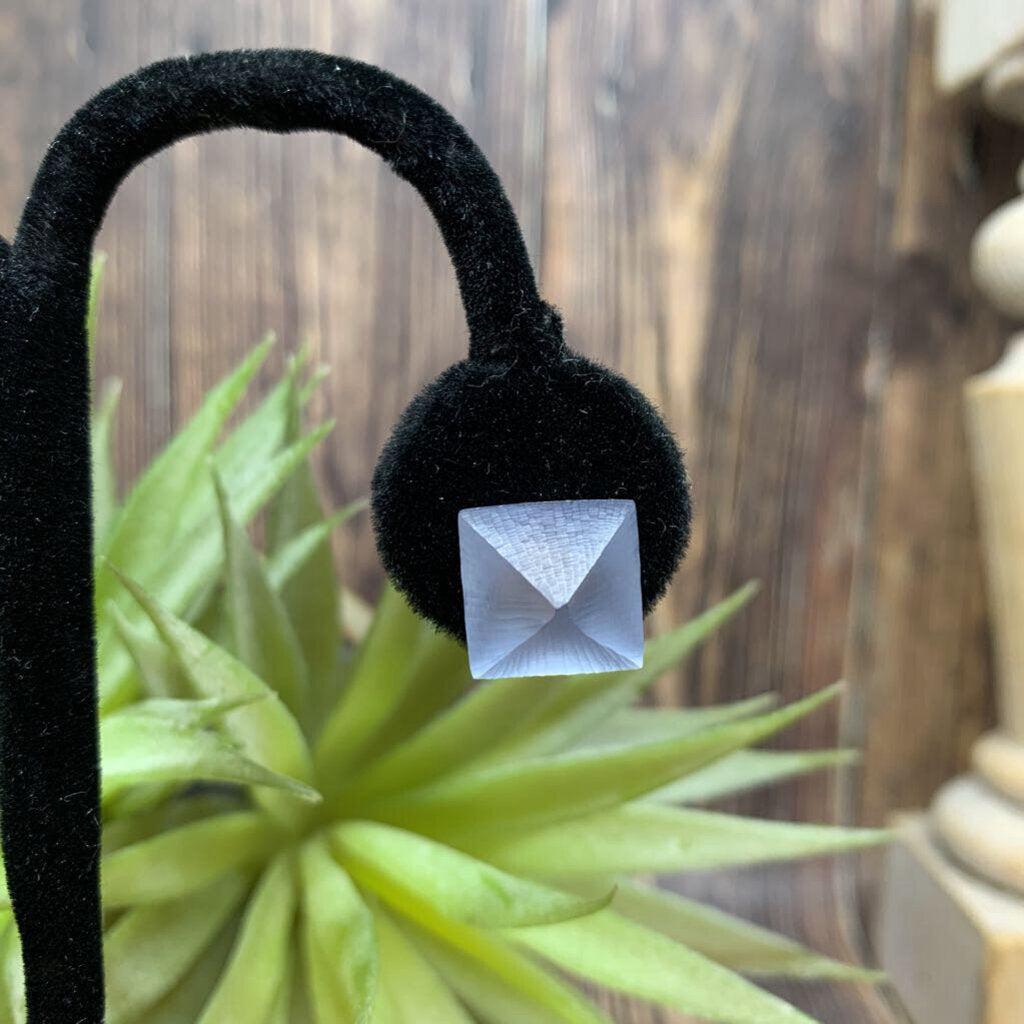 Alexis Bittar Lucite Earrings