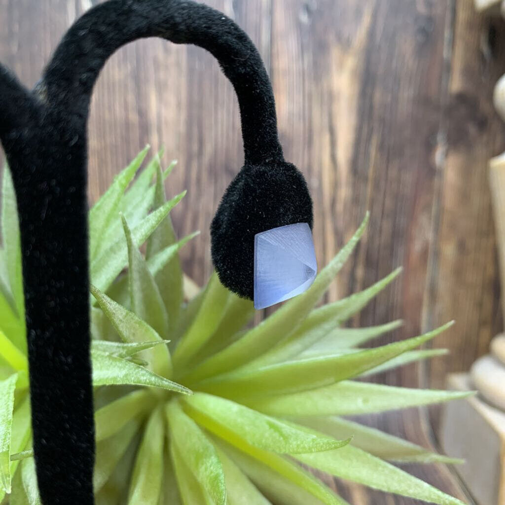 Alexis Bittar Lucite Earrings
