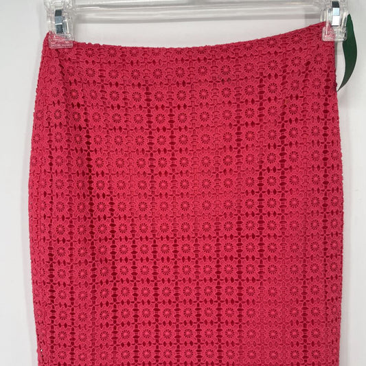 Ann Taylor Pencil Skirt
