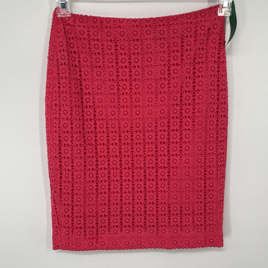 Ann Taylor Pencil Skirt