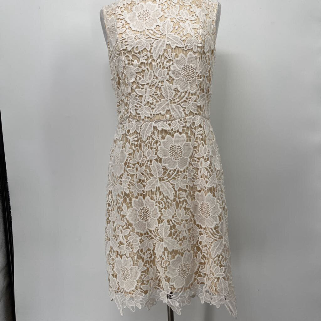 Loft Slvls Crochet Dress