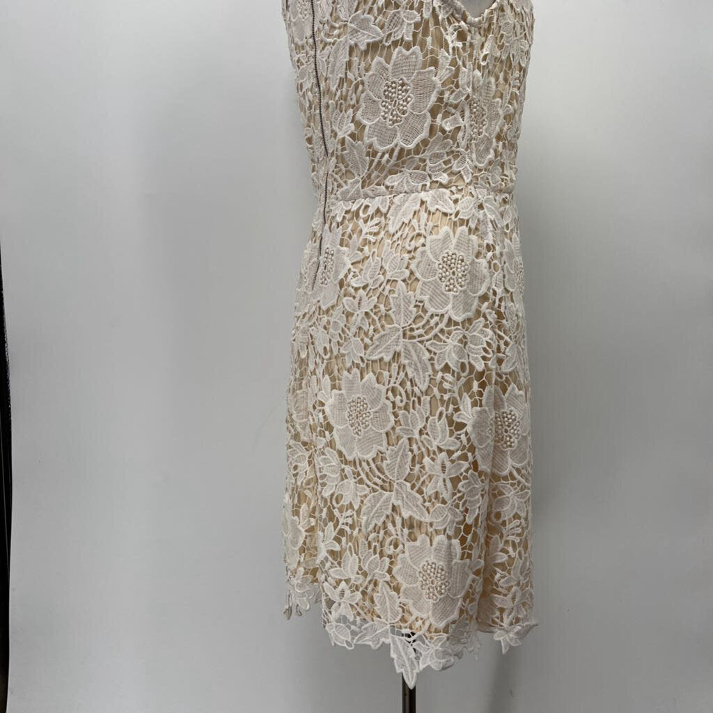 Loft Slvls Crochet Dress