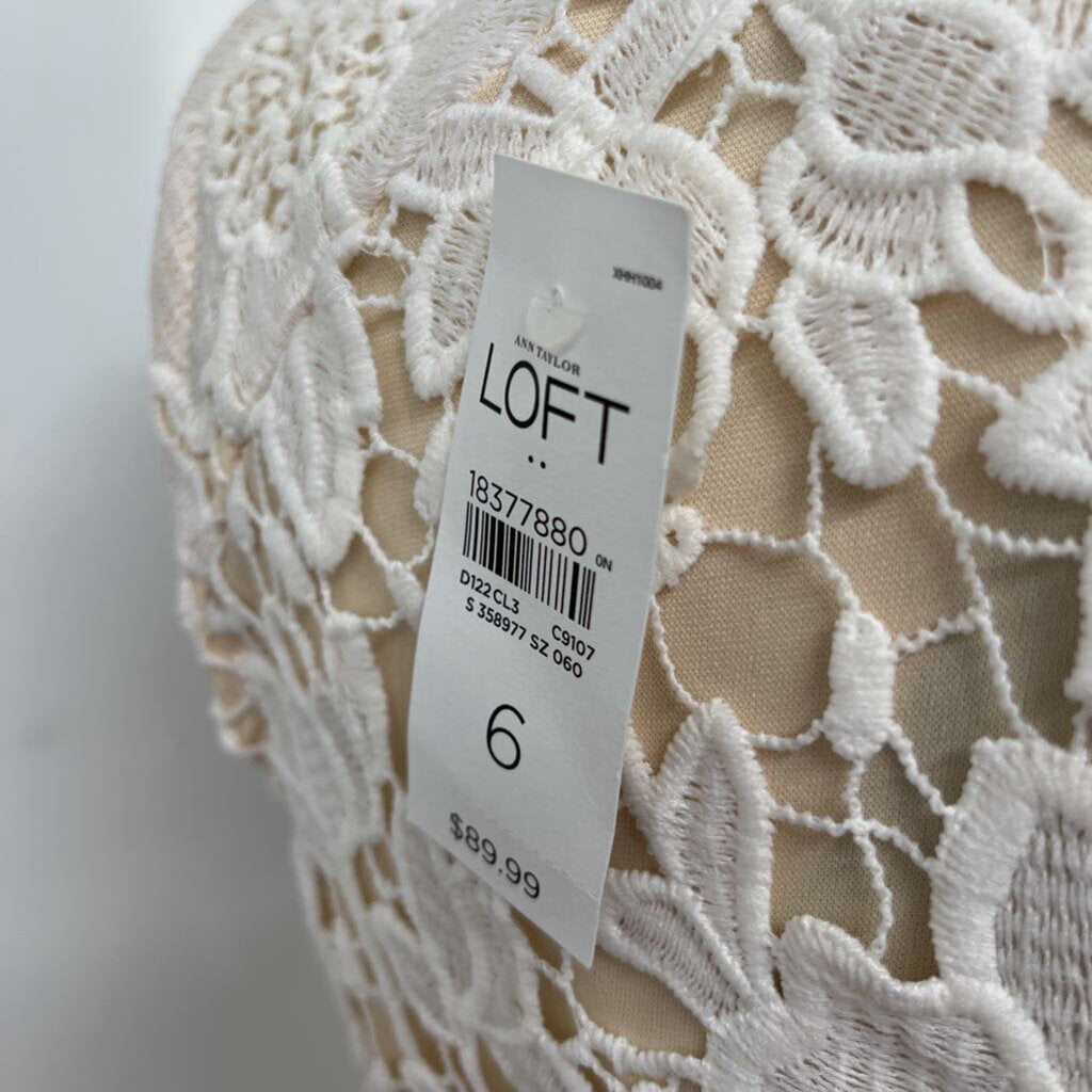 Loft Slvls Crochet Dress