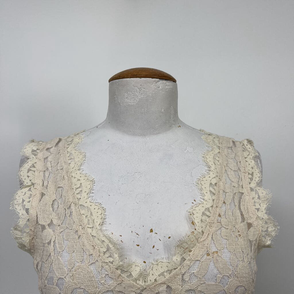 Greylin Slvls Dress