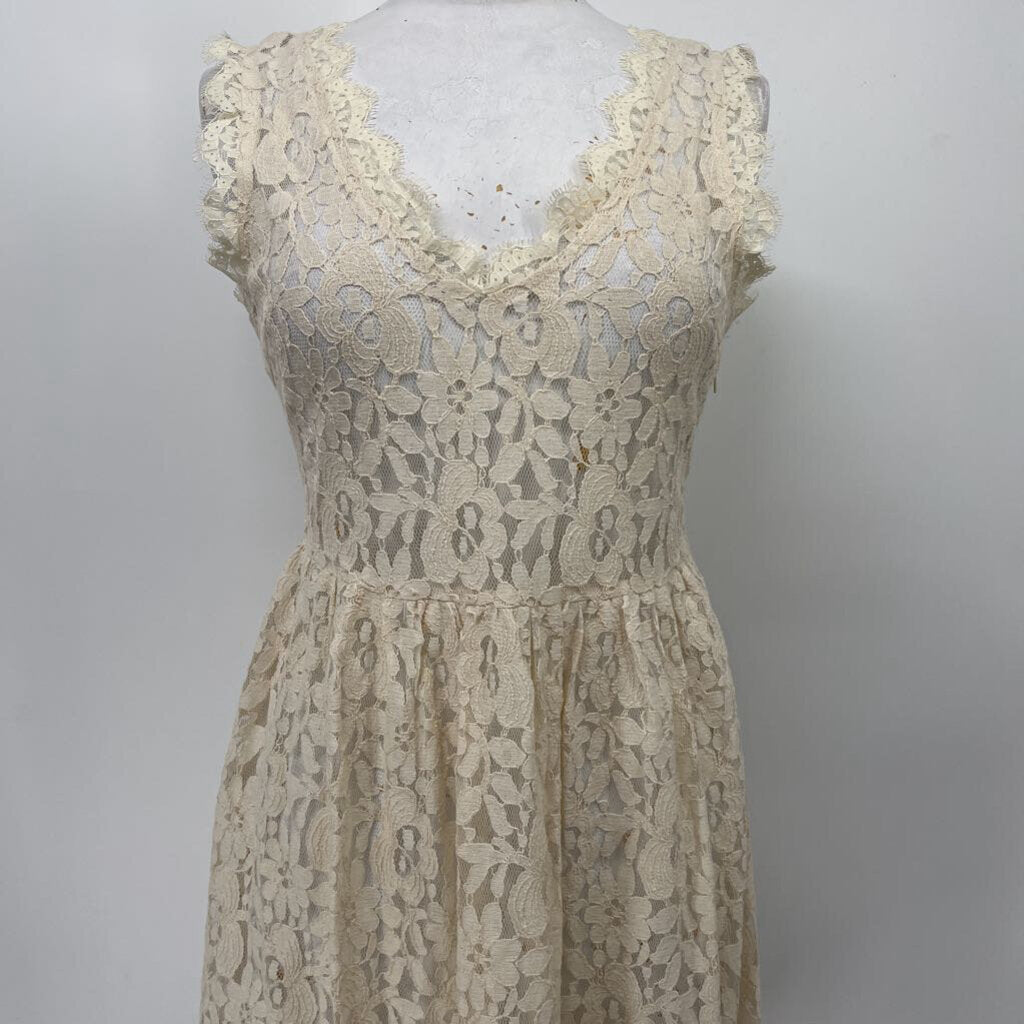Greylin Slvls Dress