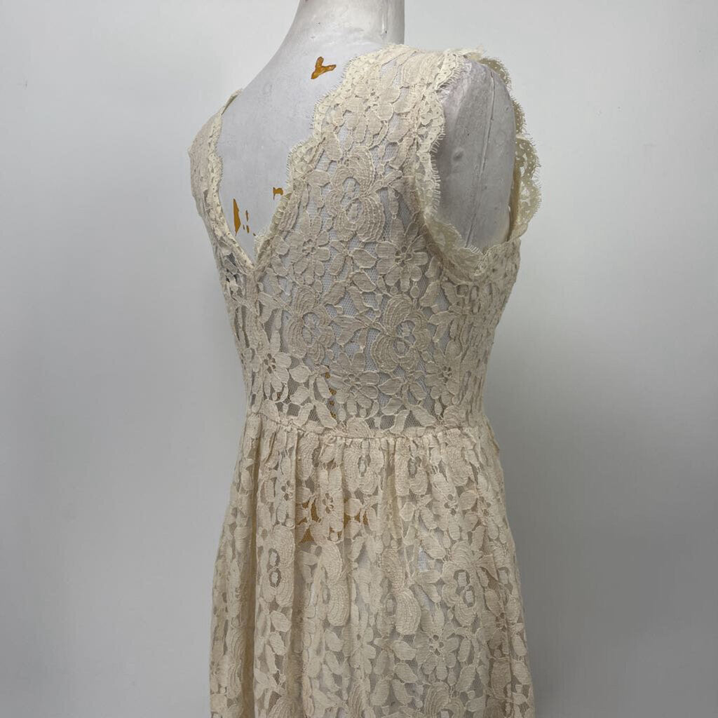 Greylin Slvls Dress