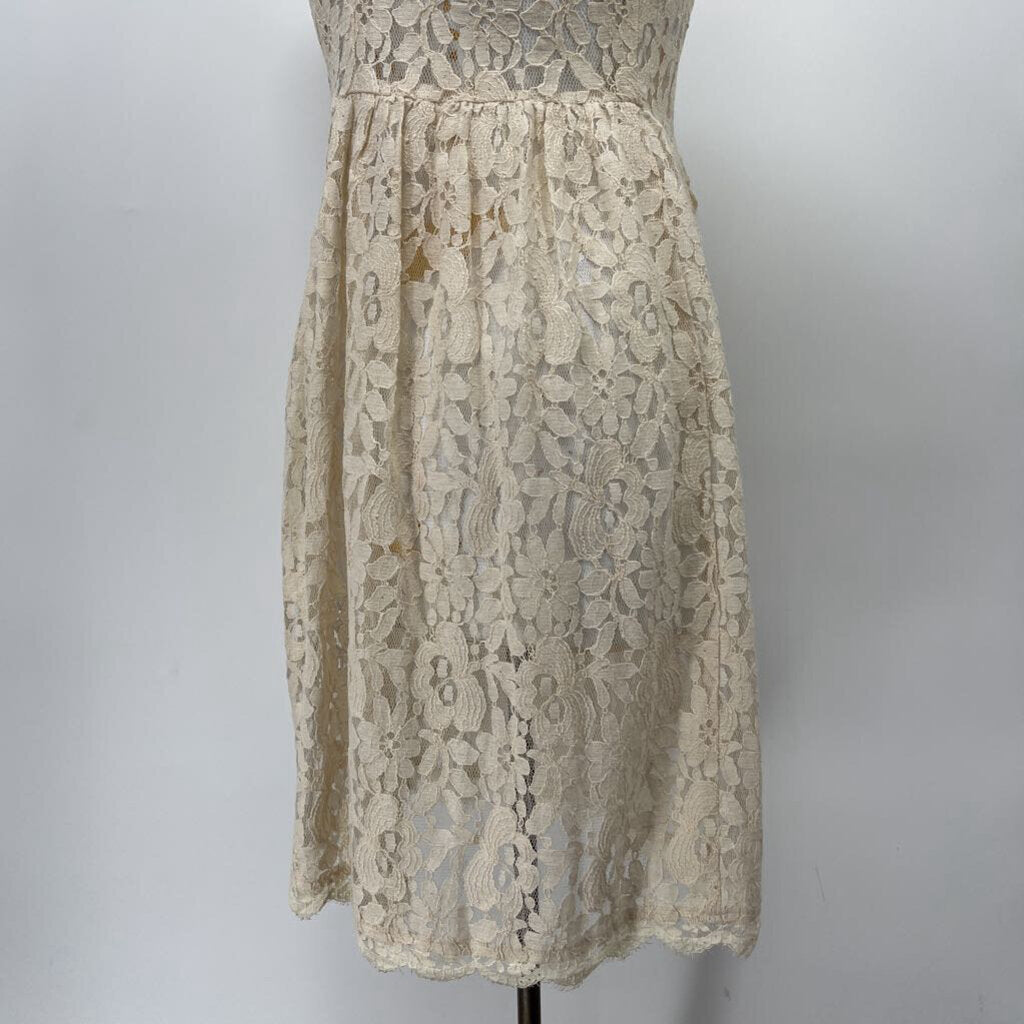 Greylin Slvls Dress