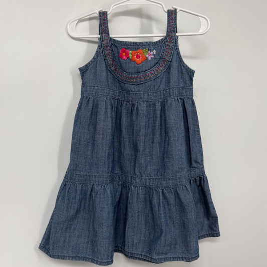 Gymboree Slvls Dress