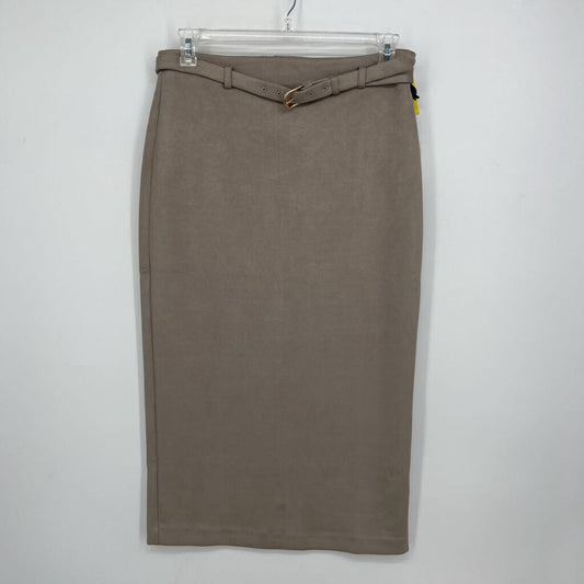 Ann Taylor Midi Skirt