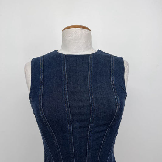Gap Slvls Seamed Dress