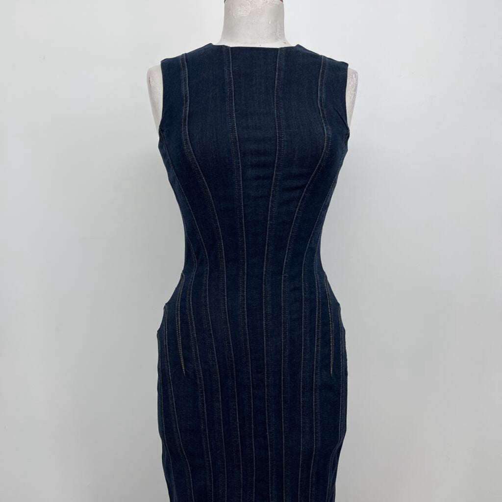 Gap Slvls Seamed Dress
