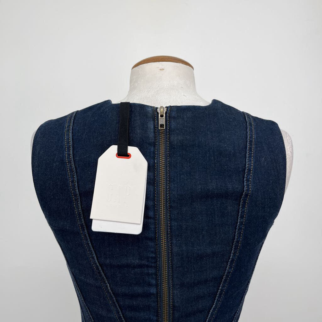Gap Slvls Seamed Dress