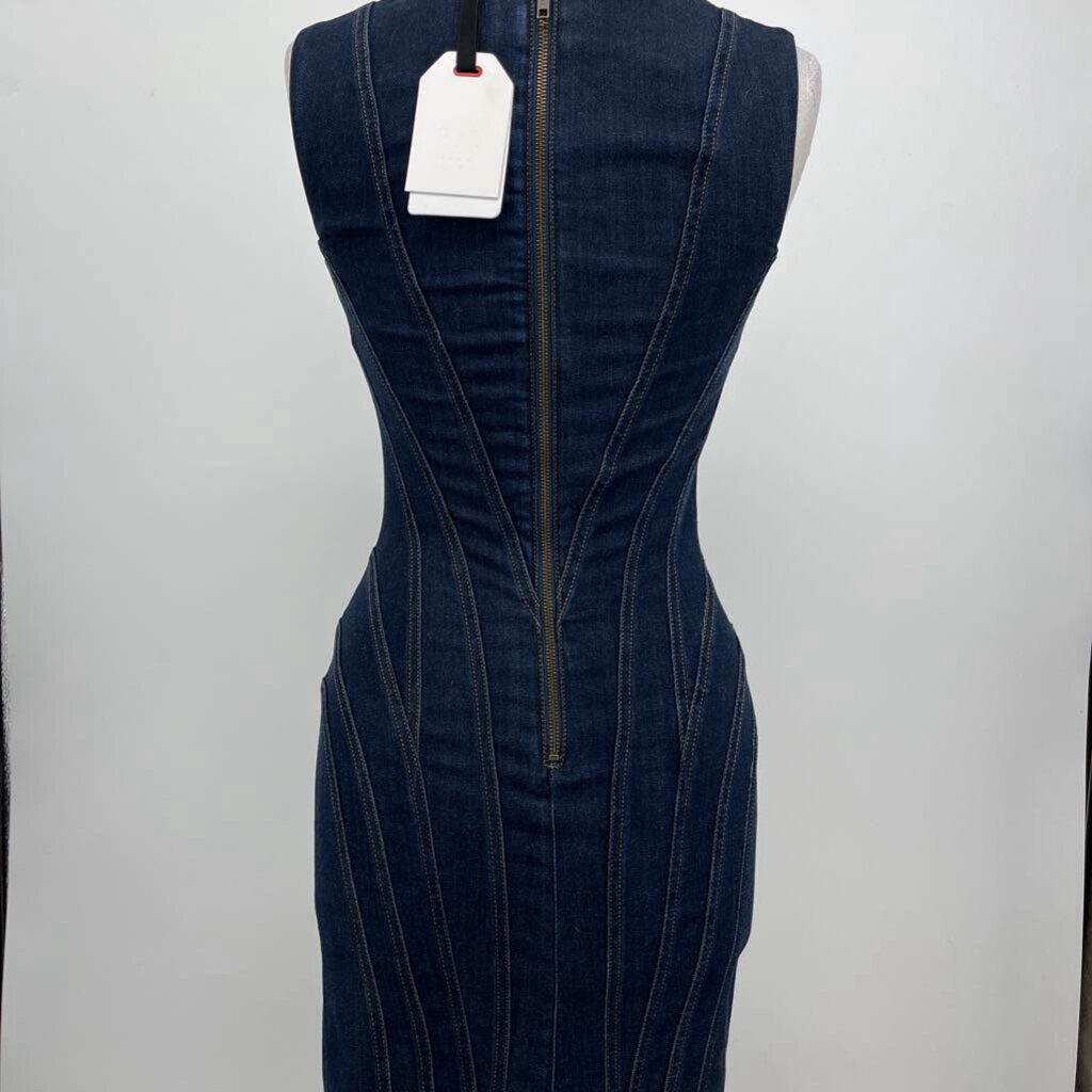 Gap Slvls Seamed Dress