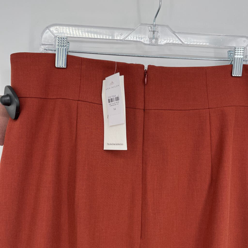 Ann Taylor Pencil Skirt