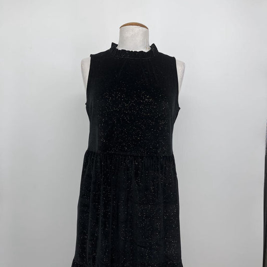 J. Crew Velour Dress