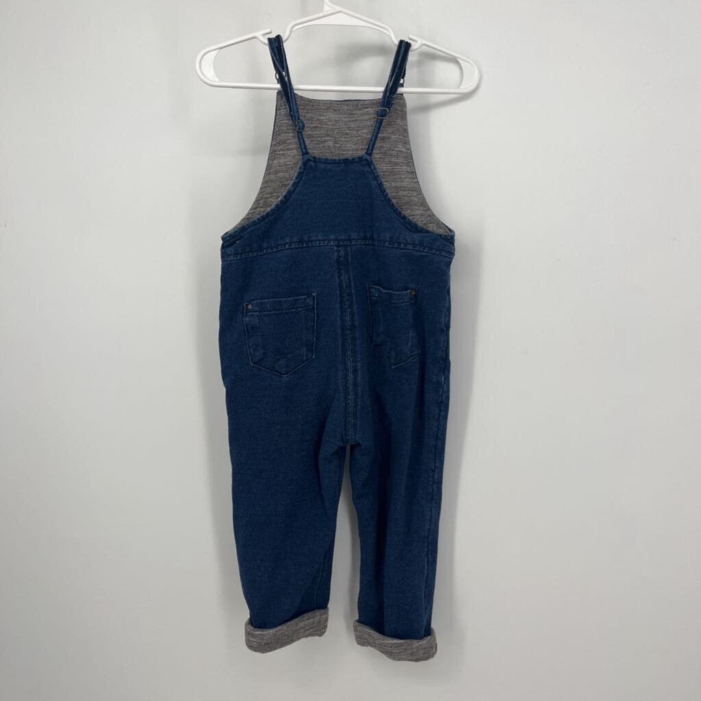 Zara Overalls