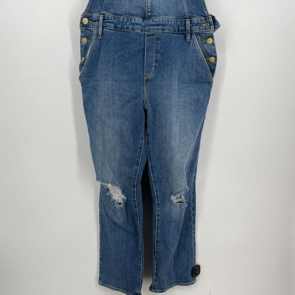 Articles of Society Overalls