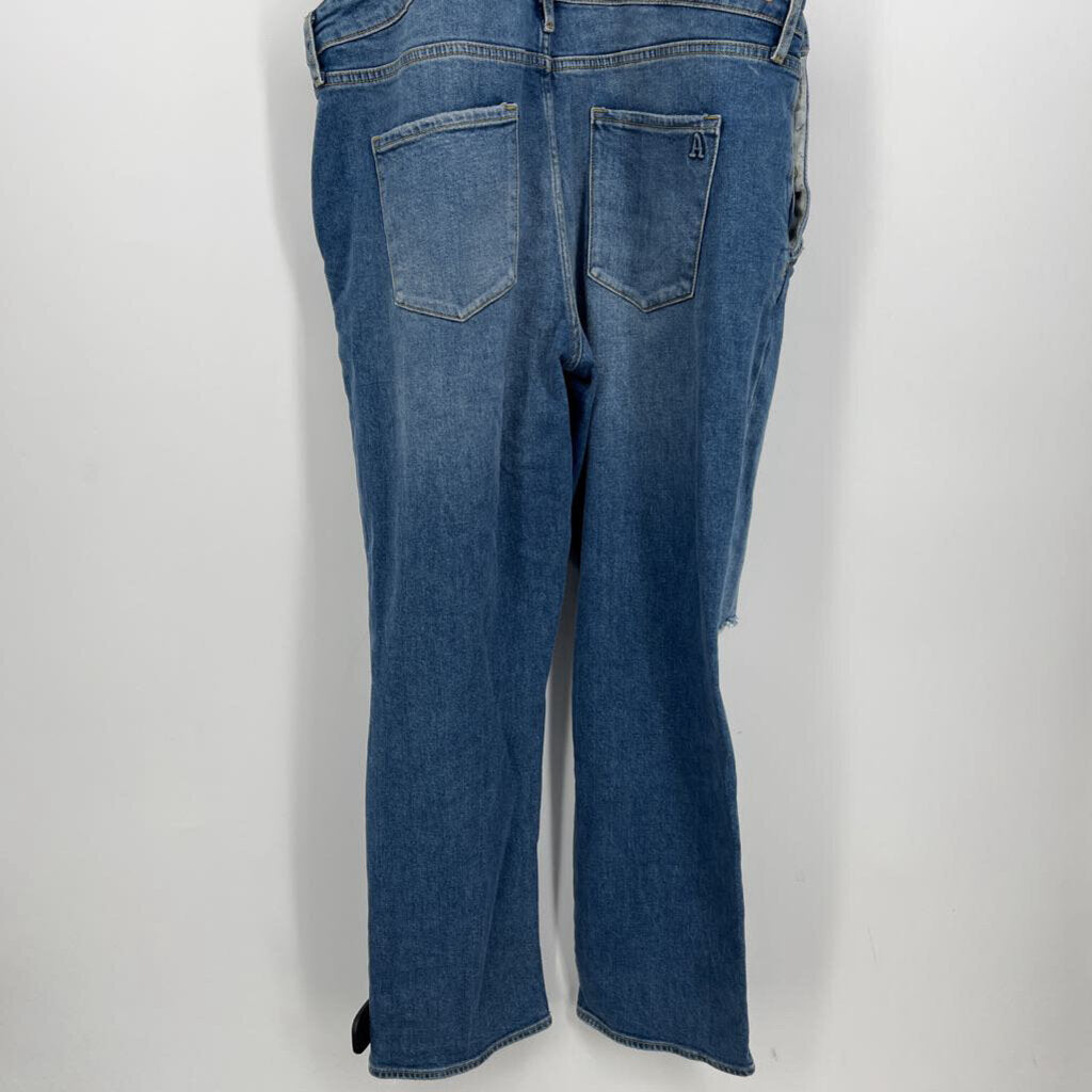 Articles of Society Overalls