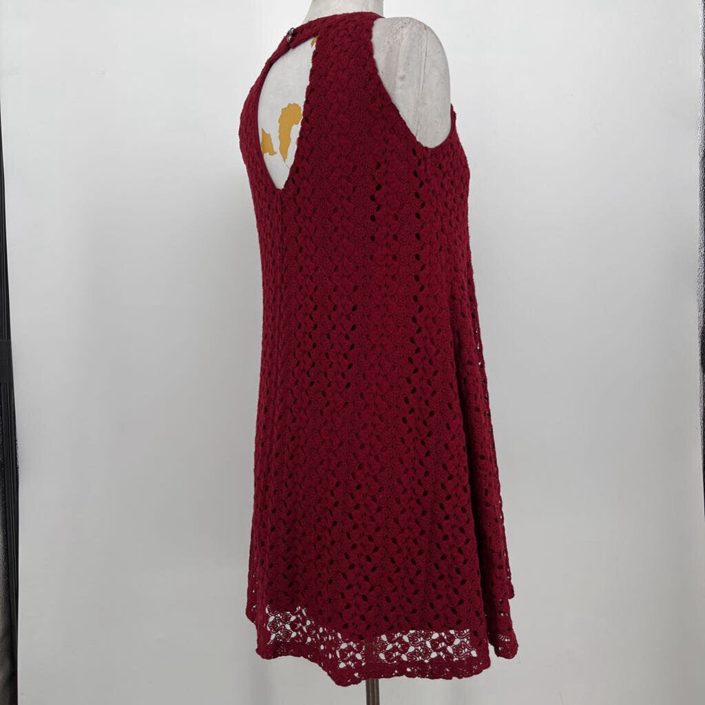Altrd State Sleeveless Crochet Dress