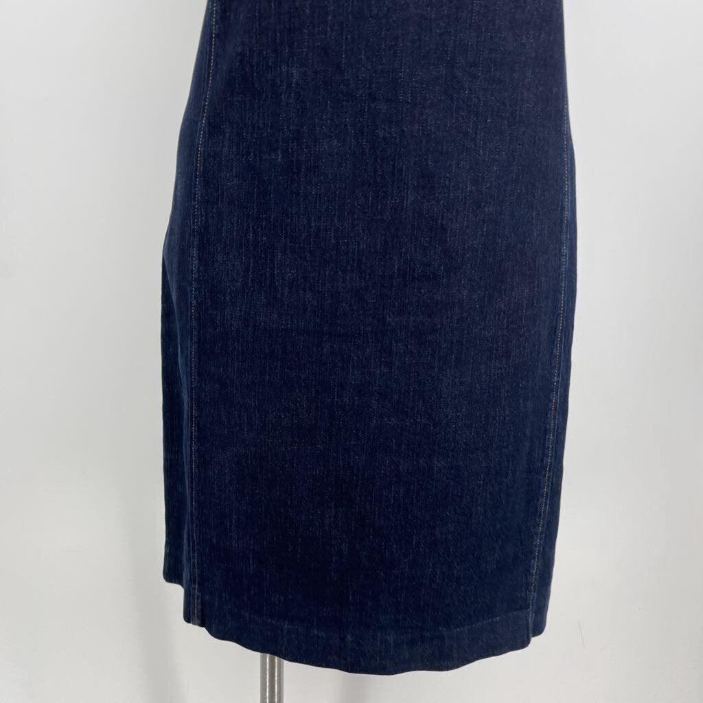 Lauren Slvls Dress