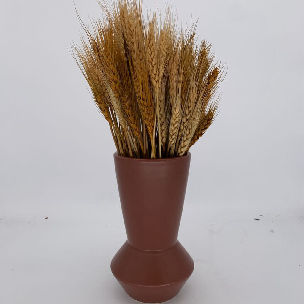 Dried Wheat Stems in Vase