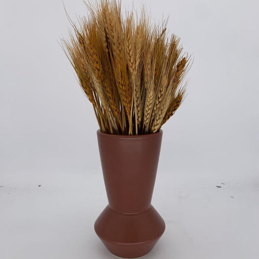 Dried Wheat Stems in Vase