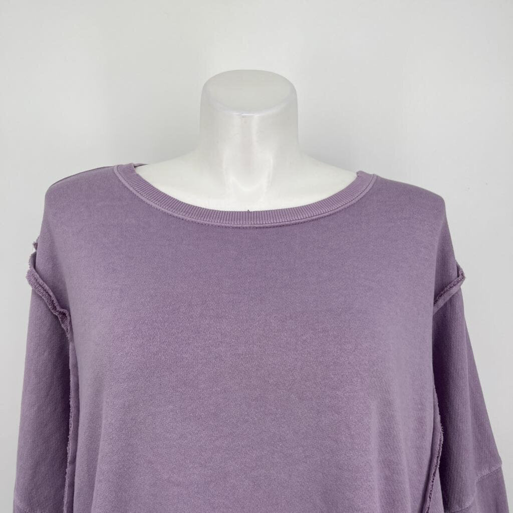 We the Free Over-size Sweatshirt