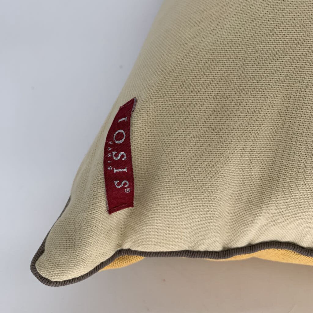 Birds in Cage Throw Pillow