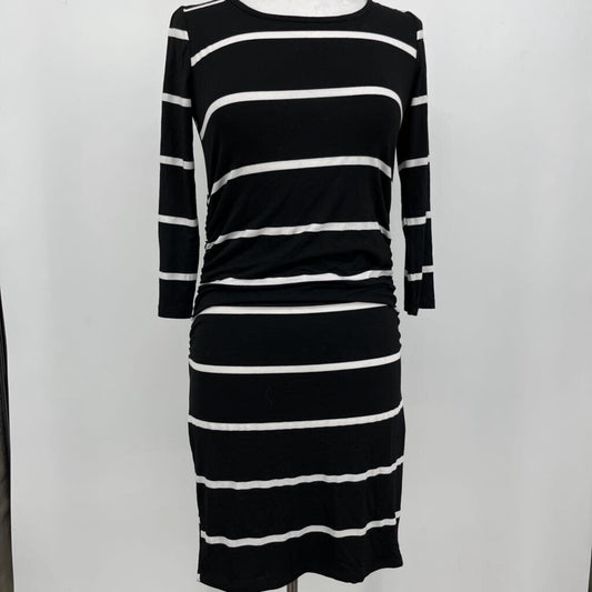 Star Motherhood L/s Stripe Dress