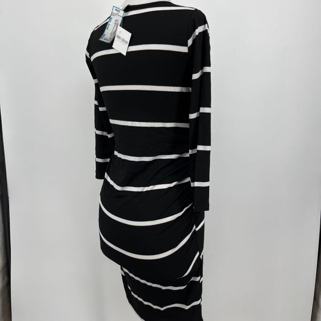 Star Motherhood L/s Stripe Dress