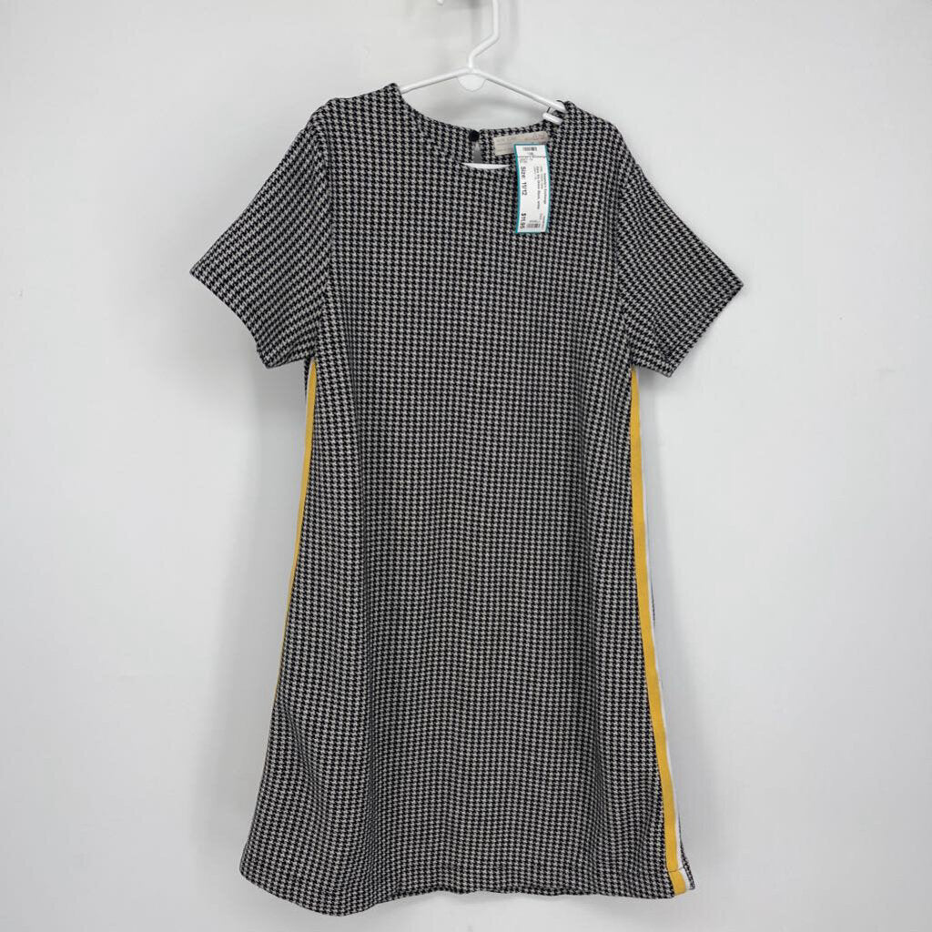 Zara S/s Dress