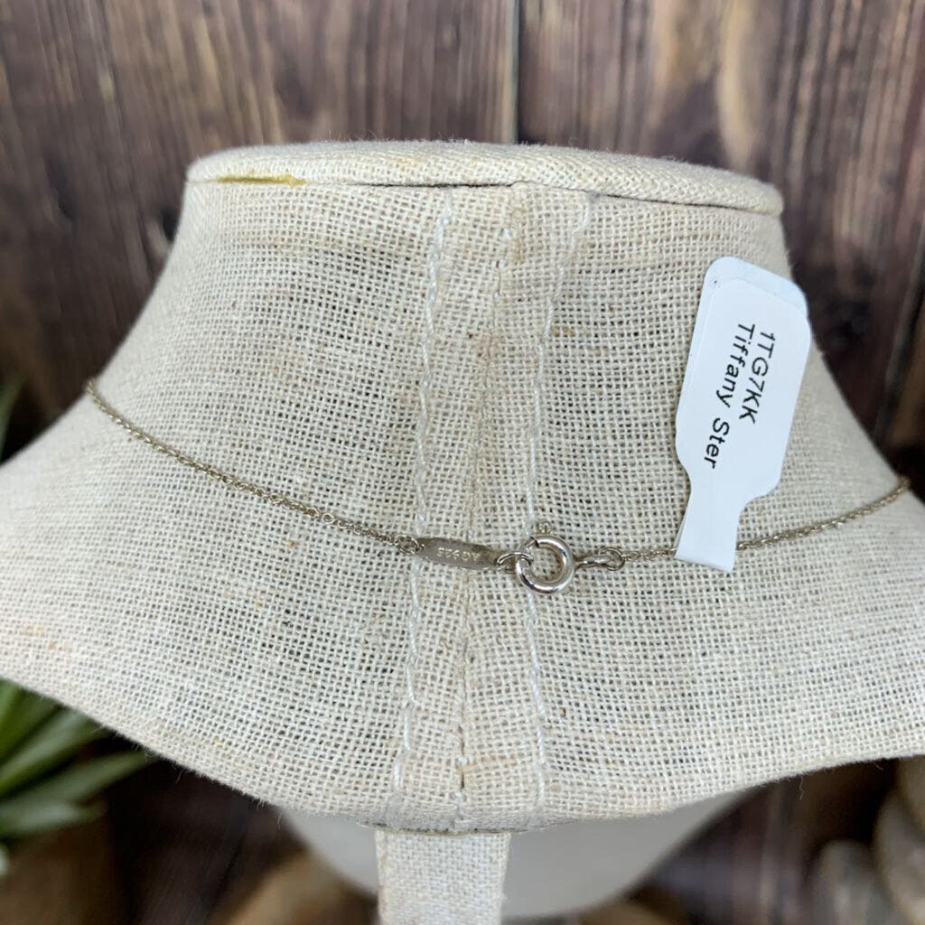Tiffany Silver Enchant Medallion Necklace