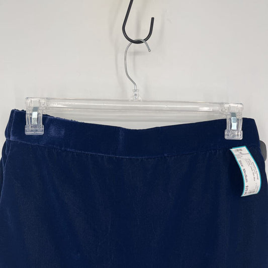 J. Crew Velour Skirt
