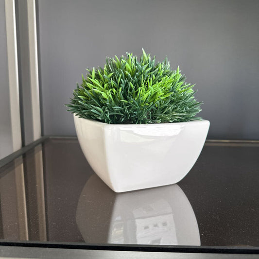 Crate & Barrel Grass in Pot