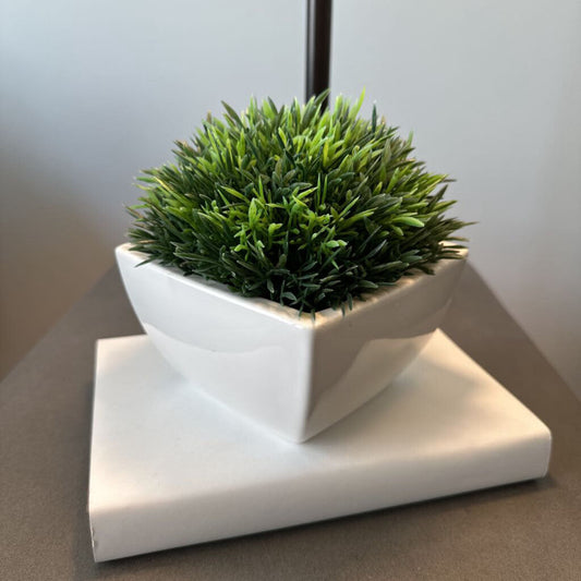 Crate & Barrel Grass in Pot