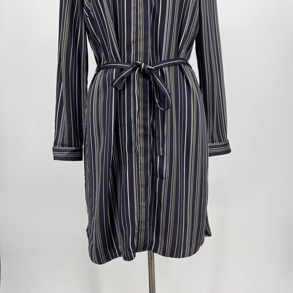 Ann Taylor l/s Dress