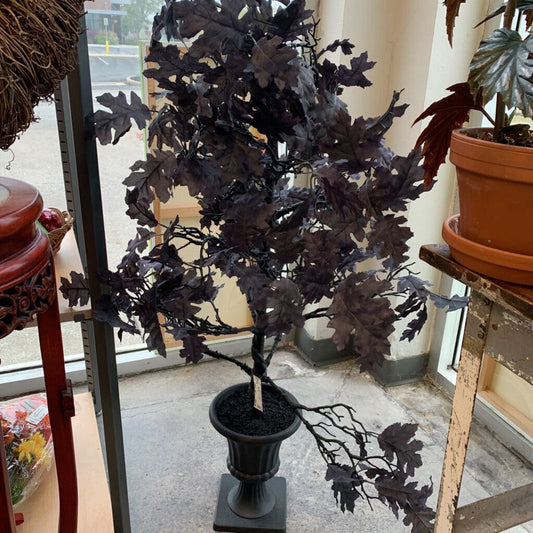 Oak Tree in Vase
